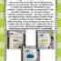 Short 'O' Word Families Galore Bundle- Differentiated and Aligned4